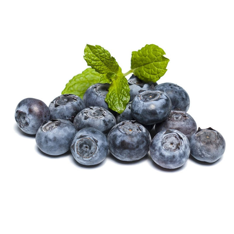 Wild Blueberry Jam 250 gr