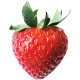 Confiture aux Fraises et Pinot Noir d'Alsace 250 gr