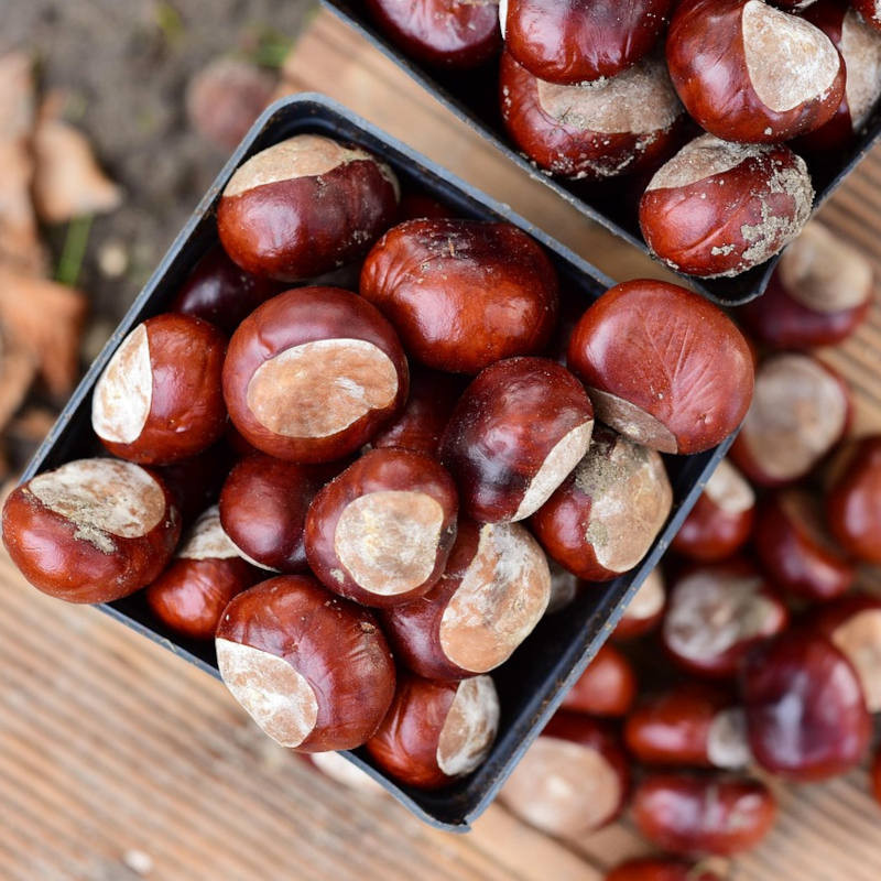 Konfitüre mit Kastanien und Vanille von den Inseln 250 g