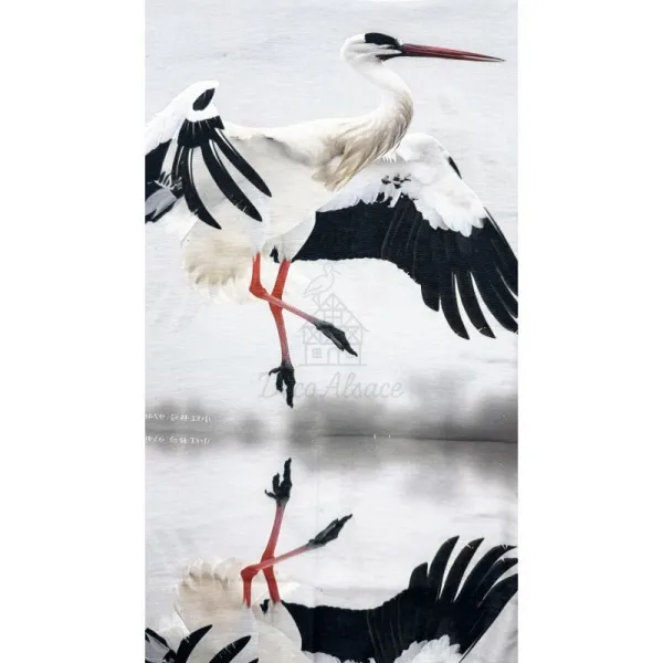 Elsässer Halswärmer Storch im Flug