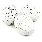 Storcheneier mit Praliné