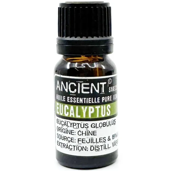 Ätherisches Öl aus Eukalyptus Globulus 10 ml