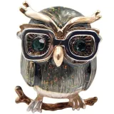 Fancy Owl Brooch with Bezel set with Rhinestones