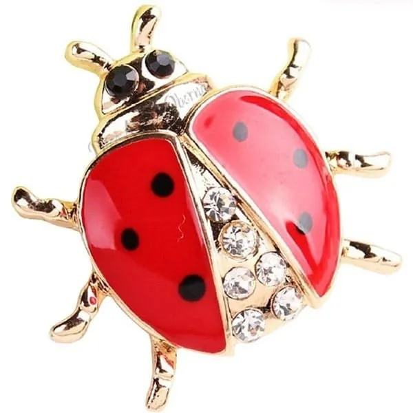 Goldene Brosche Fancy Beetle Form Set mit Strass