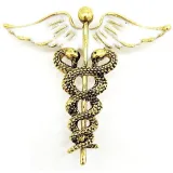 Caduceus Gold Metal Fancy Brooch