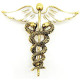 Caduceus Gold Metal Fancy Brooch