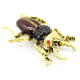 Fancy antique gold metal scarab brooch