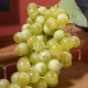 Grappe de Raisin Blanc Artificielle 25 cm
