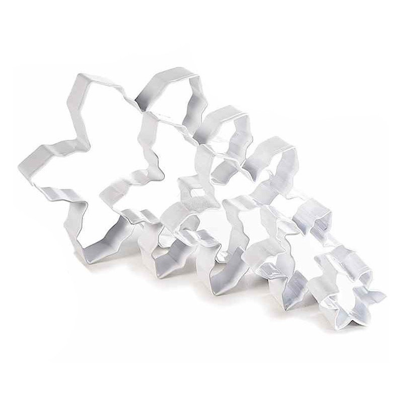 Box of 5 Star-shaped Steel Cookie Cutters