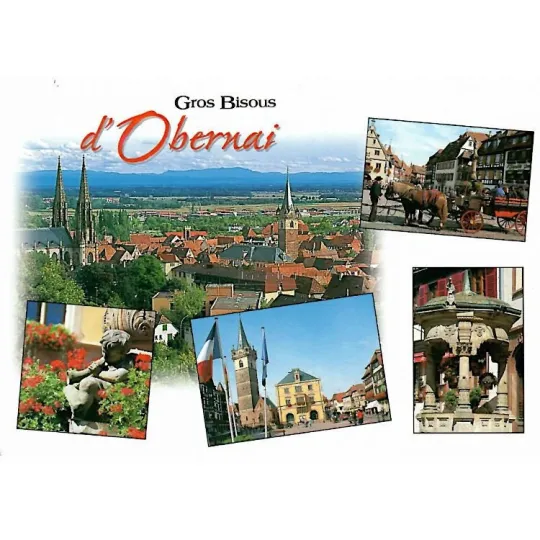 Carte Postale vue générale Bisous d'Obernai