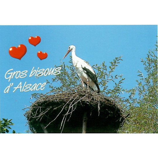 Postcard Stork in its nest Big Kiss from Alsace
