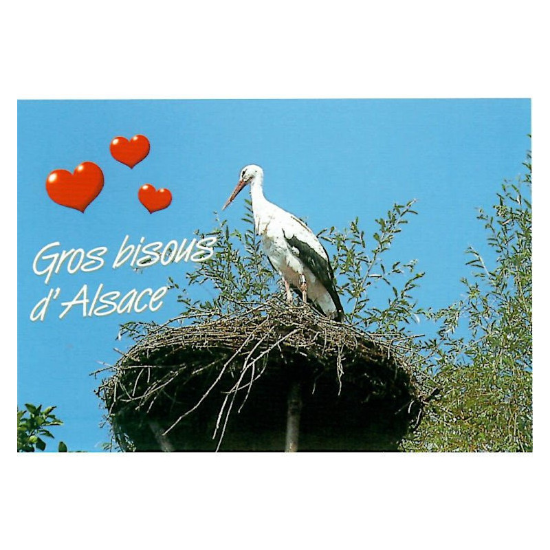 Postkarte Storch im Nest Gros Bisous d'Alsace