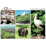 Postkarte Das Land der Störche in Mehrfachansicht