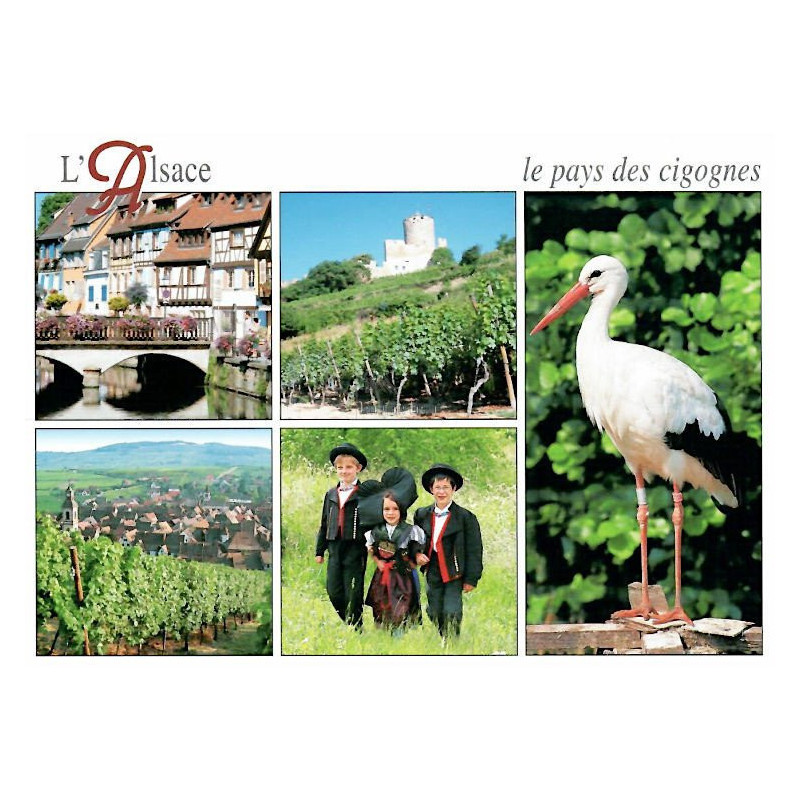 Carte Postale Le Pays des Cigognes en multi-vue
