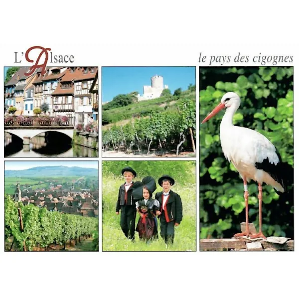 Carte Postale Le Pays des Cigognes en multi-vue