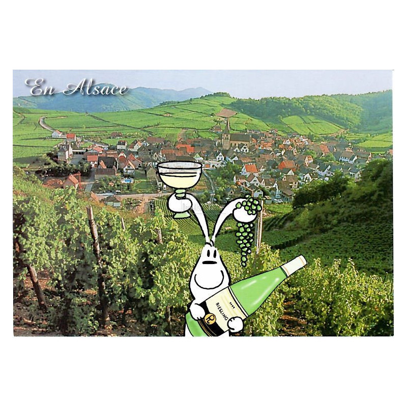Carte Postale Humoristique les Vignobles en Alsace