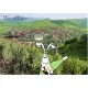 Carte Postale Humoristique les Vignobles en Alsace