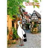 Humorous Postcard the Pigeon House of Eguisheim