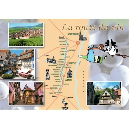Carte Postale Humoristique la Route des Vins