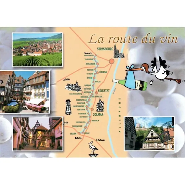 Humorous Postcard the wine route