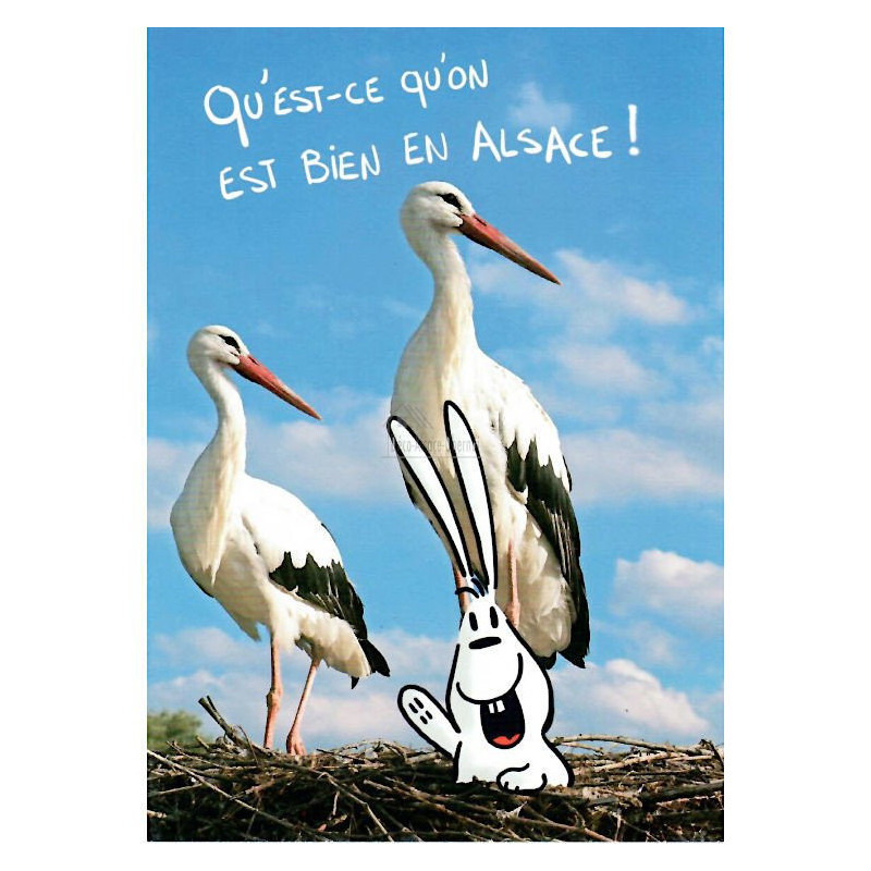 Carte Postale Humoristique Qu'est ce qu'on est bien en Alsace