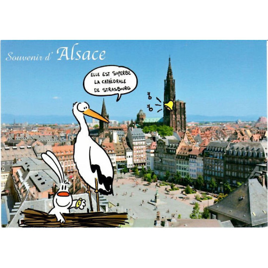 Carte Postale Humoristique Cigogne et Cathédrale de Strasbourg