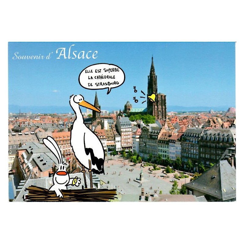 Carte Postale Humoristique Cigogne et Cathédrale de Strasbourg