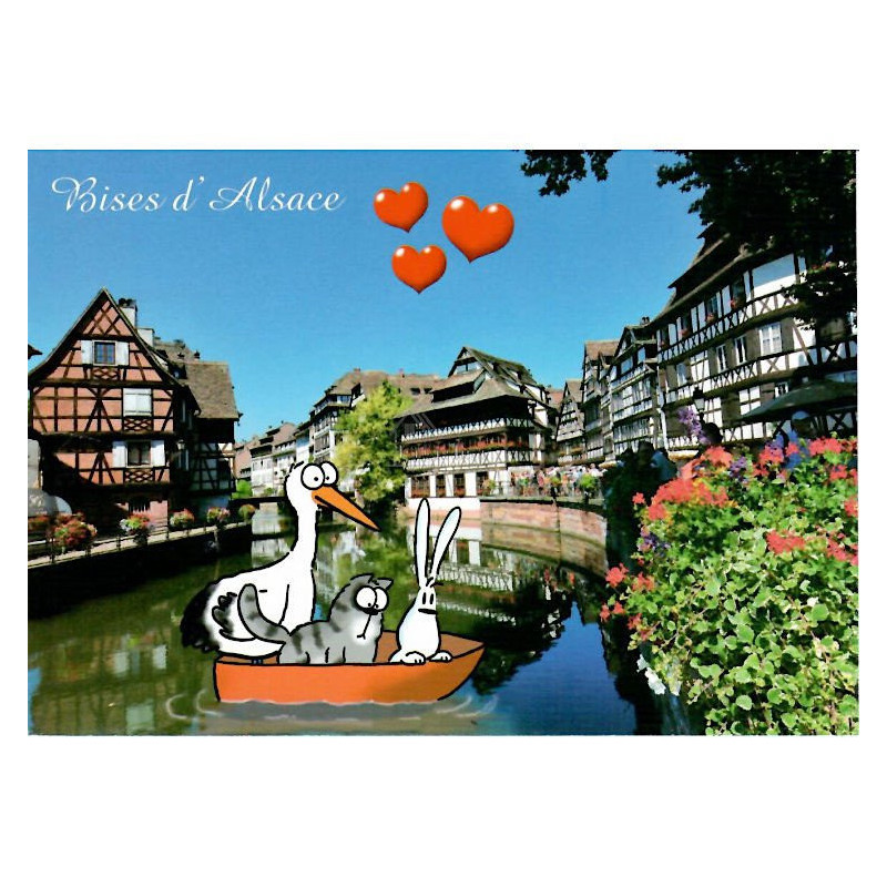 Carte Postale Humoristique Cigogne et Petite France à Strasbourg