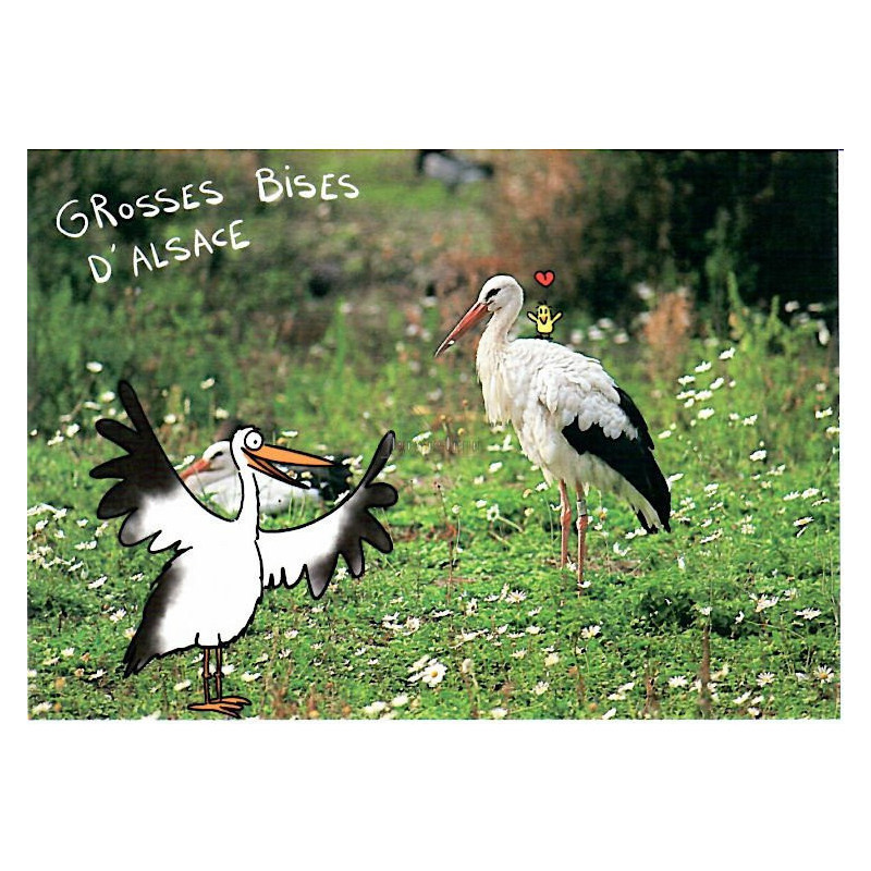 Humorous Postcard Alsace Pittoresque and its Storks