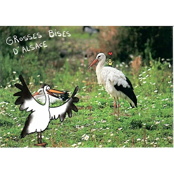 Humoristische Postkarte Das malerische Elsass und seine Störche