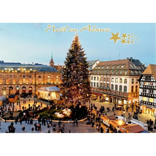 Carte Postale le grand Sapin de Noël place Kléber à Strasbourg