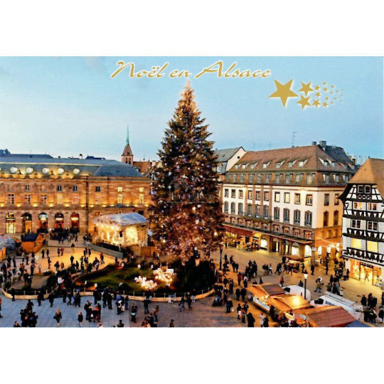 Carte Postale le grand Sapin de Noël place Kléber à Strasbourg