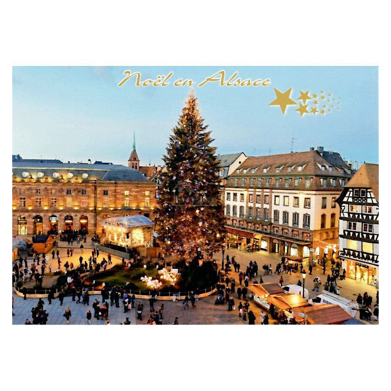 Carte Postale le grand Sapin de Noël place Kléber à Strasbourg