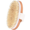 Brosse Gommage avec anse pour le Corps
