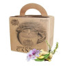 Pure Plant Soy and Jojoba Comfort Massage Candle