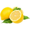 Lemon Essential Oil 10 ml