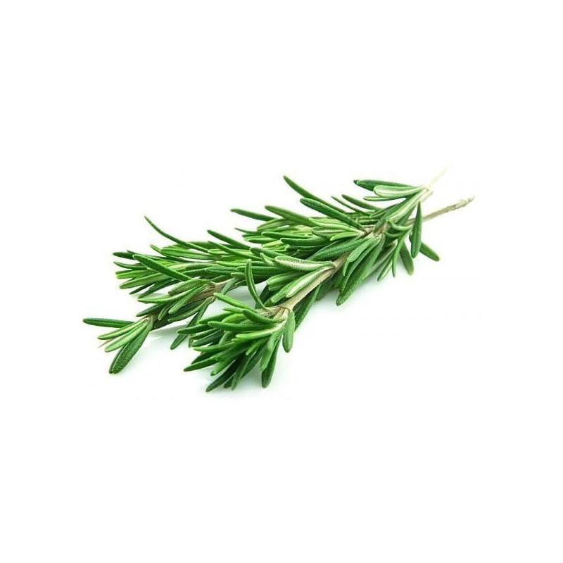 Ätherisches Rosmarinöl 10 ml
