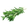 Ätherisches Rosmarinöl 10 ml
