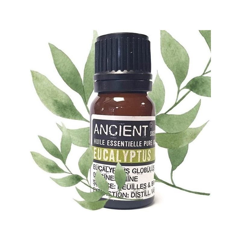 Ätherisches Öl aus Eukalyptus Globulus 10 ml