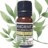 Ätherisches Öl aus Eukalyptus Globulus 10 ml