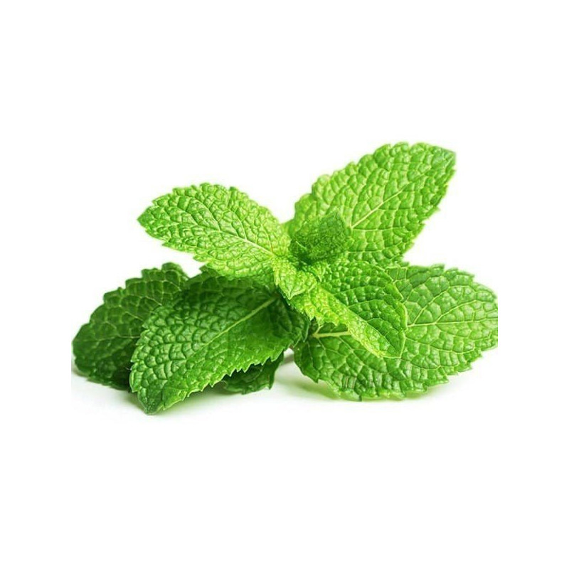 Peppermint Essential Oil 10 ml