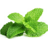 Peppermint Essential Oil 10 ml