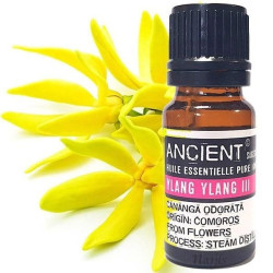 Ätherisches Öl Ylang Ylang 10 ml