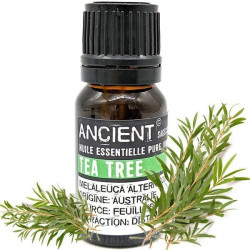 Ätherisches Teebaumöl (Tea Tree) 10 ml