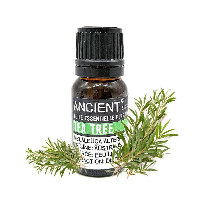 Ätherisches Teebaumöl (Tea Tree) 10 ml