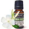 Ätherisches Jasminöl verdünnt 10 ml