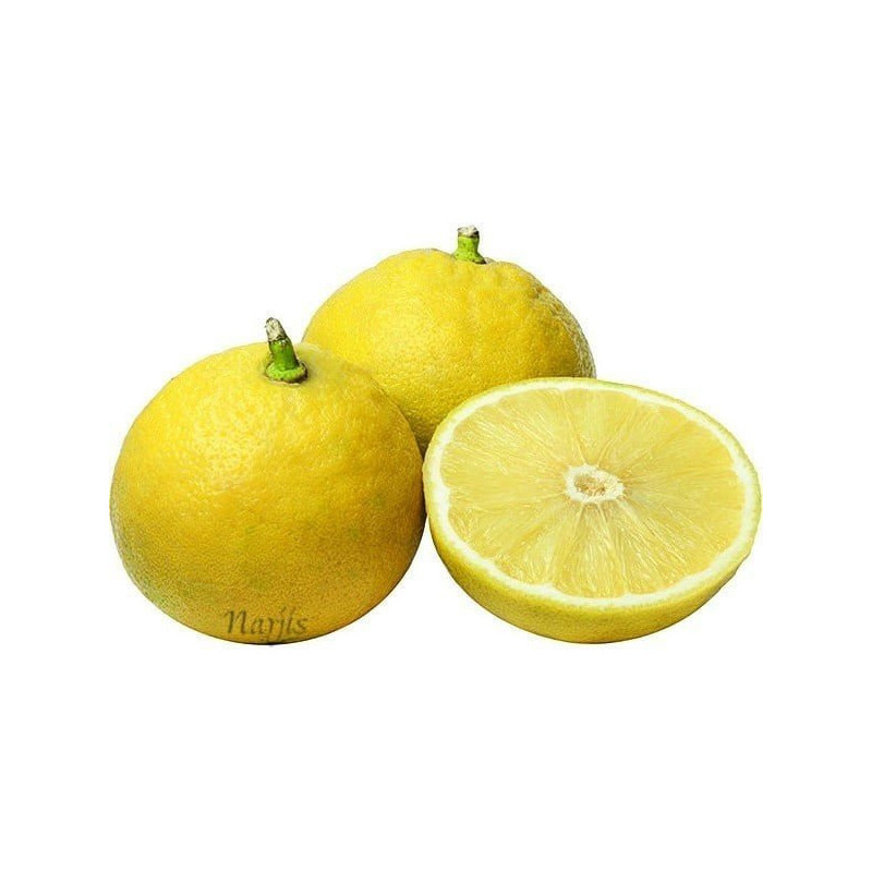 Ätherisches Bergamotte-Öl 10 ml