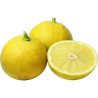 Bergamot Essential Oil 10 ml