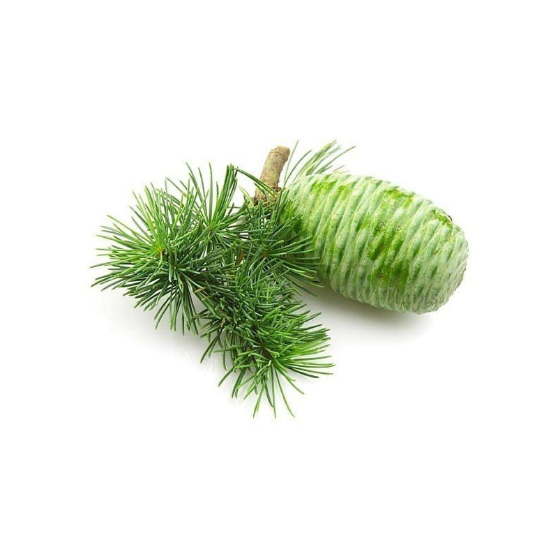 Ätherisches Öl aus Virginia-Zedernholz 10 ml
