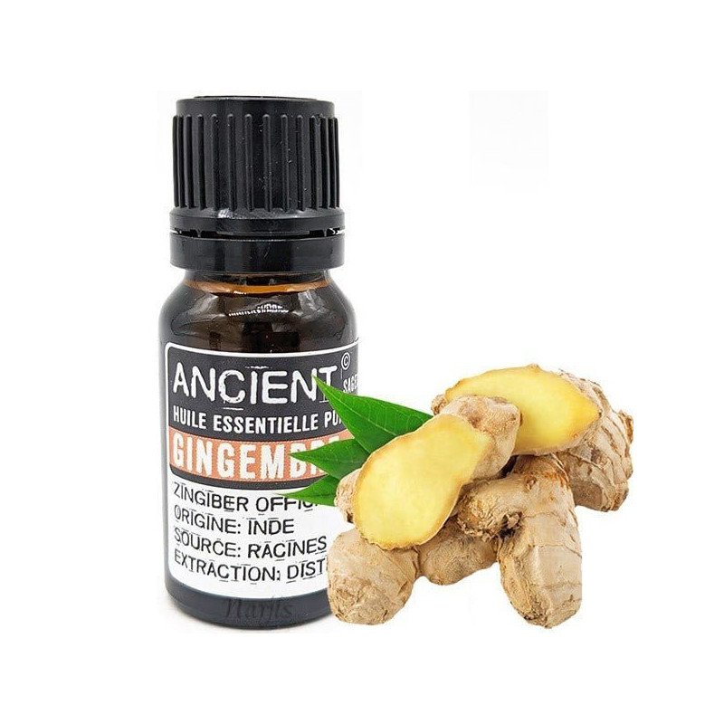 Ginger Essential Oil 10 ml